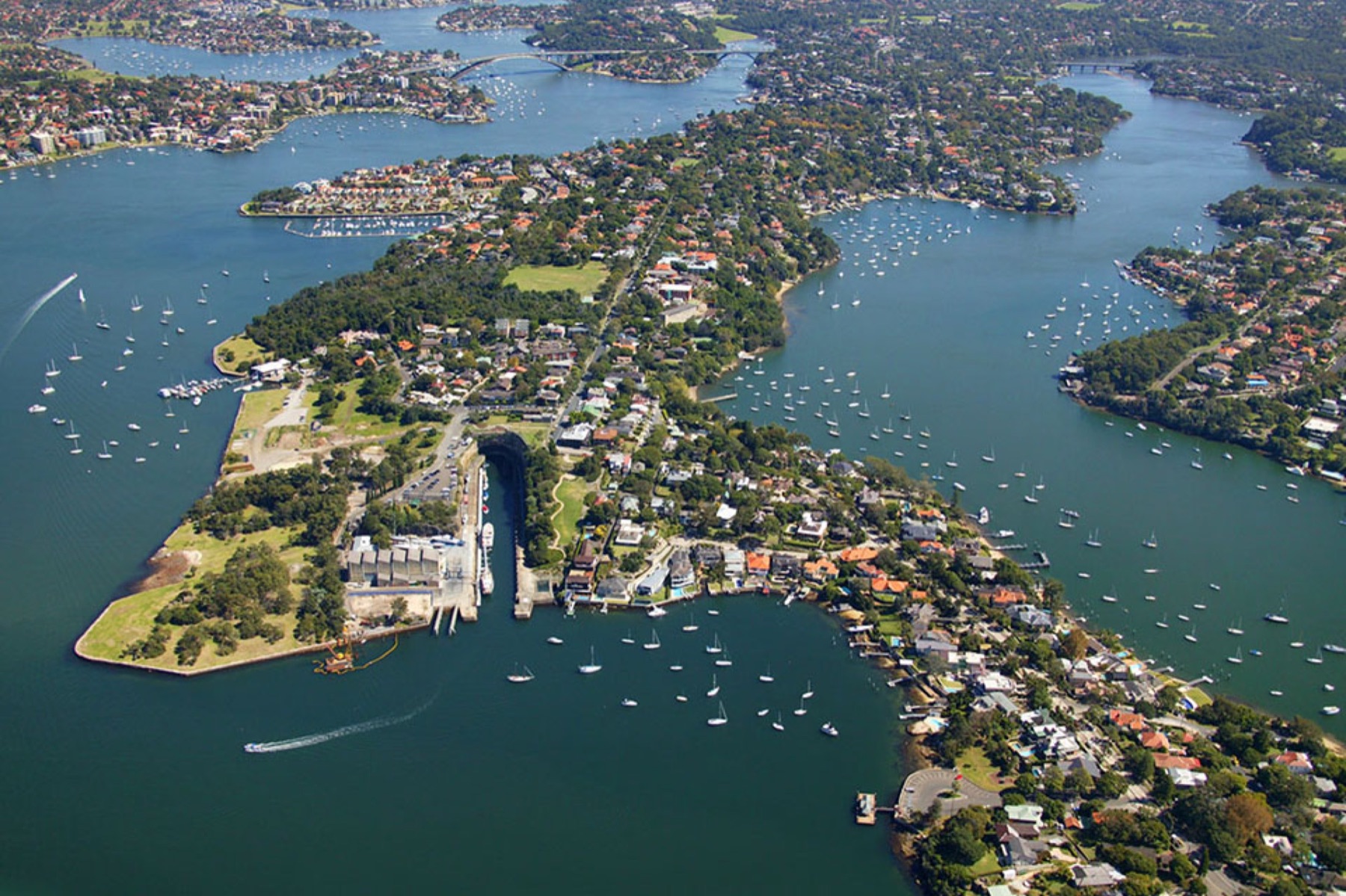 Hunters Hill landscaping
